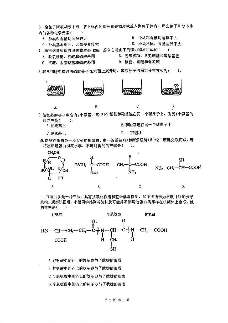 上海市行知中学2025-2026学年高一上学期期中生物试卷第2页