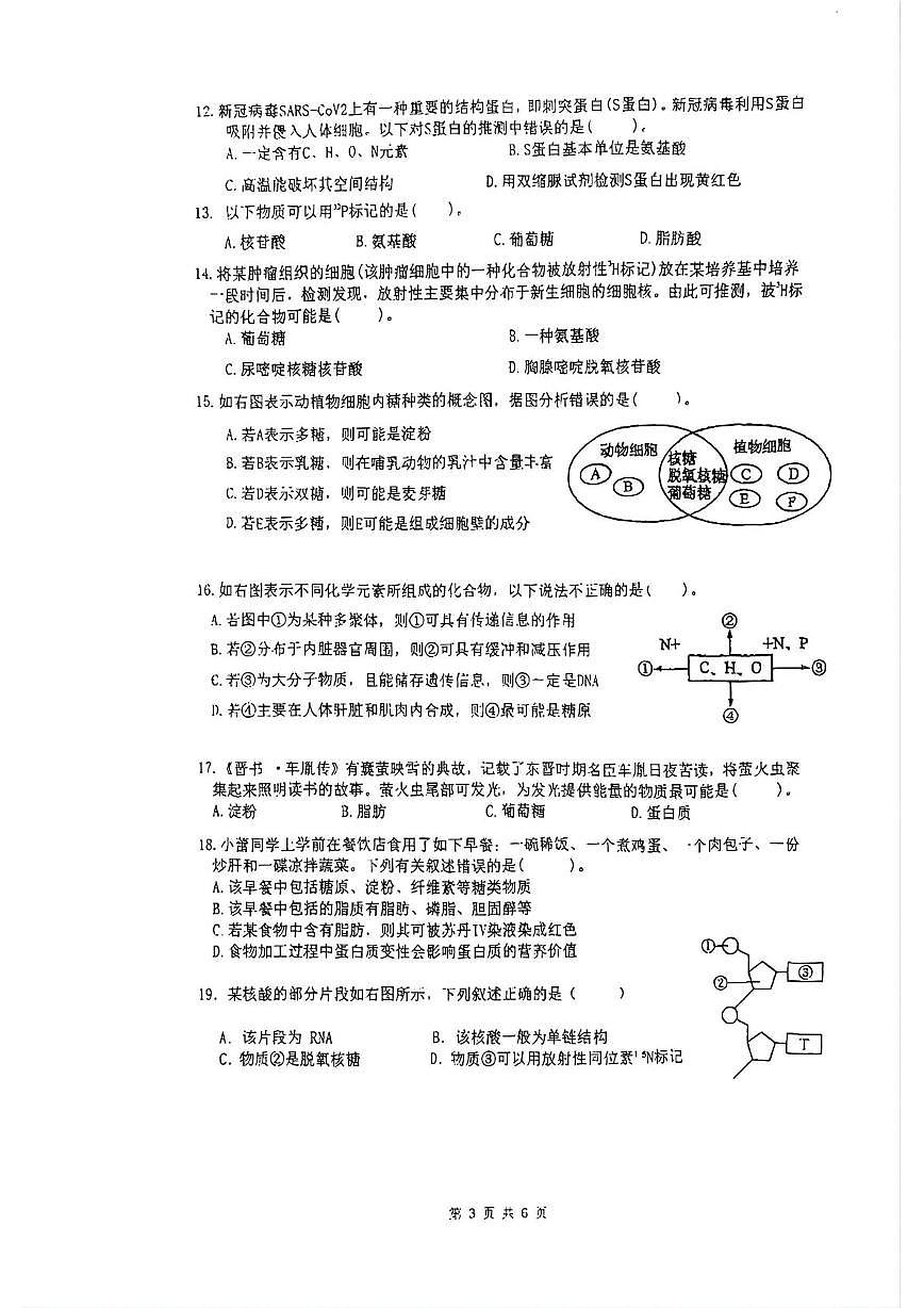 上海市行知中学2025-2026学年高一上学期期中生物试卷第3页