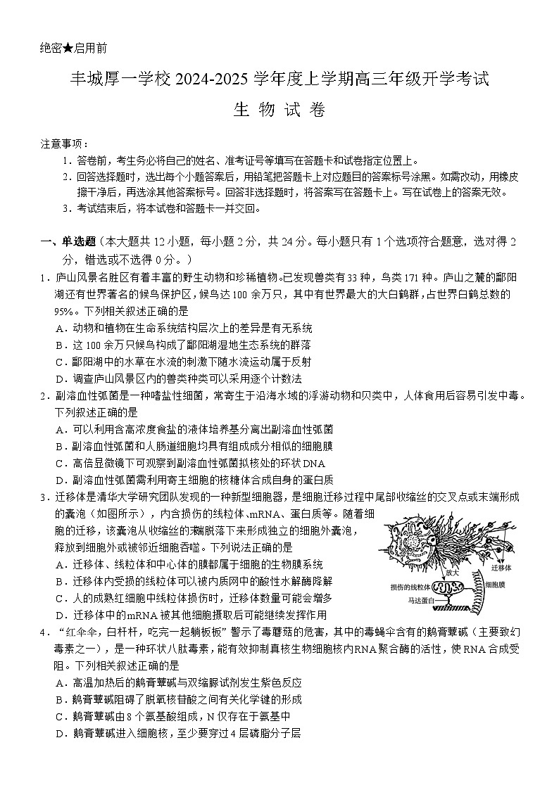 江西省丰城厚一学校2024-2025学年高三上学期开学考试生物试卷第1页