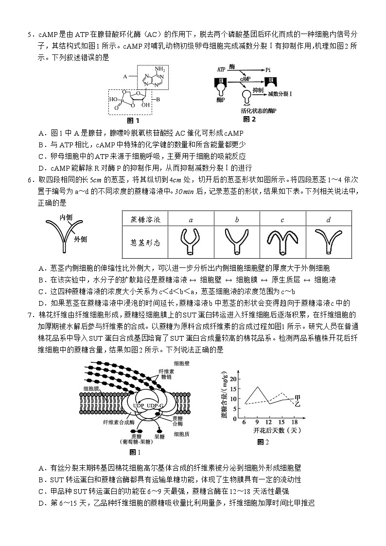 江西省丰城厚一学校2024-2025学年高三上学期开学考试生物试卷第2页