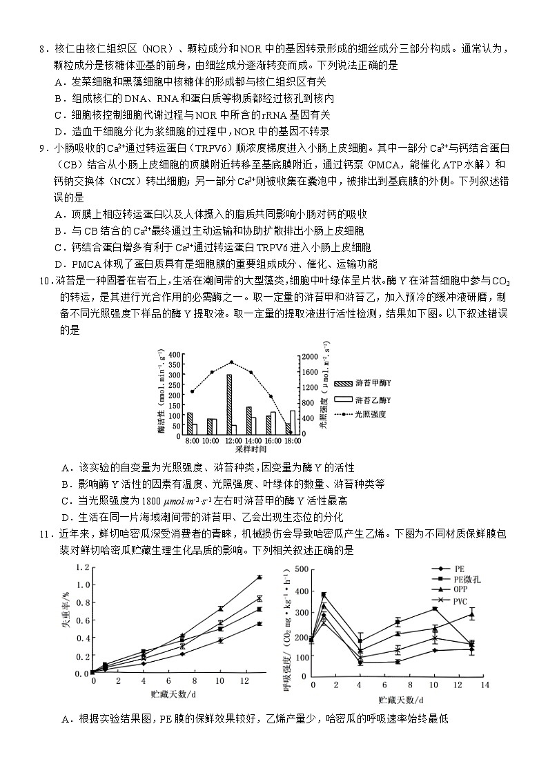 江西省丰城厚一学校2024-2025学年高三上学期开学考试生物试卷第3页