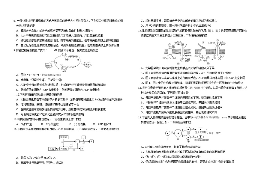吉林省长春外国语学校2025-2026学年高一上学期期末考试生物试题（Word版附解析）第2页