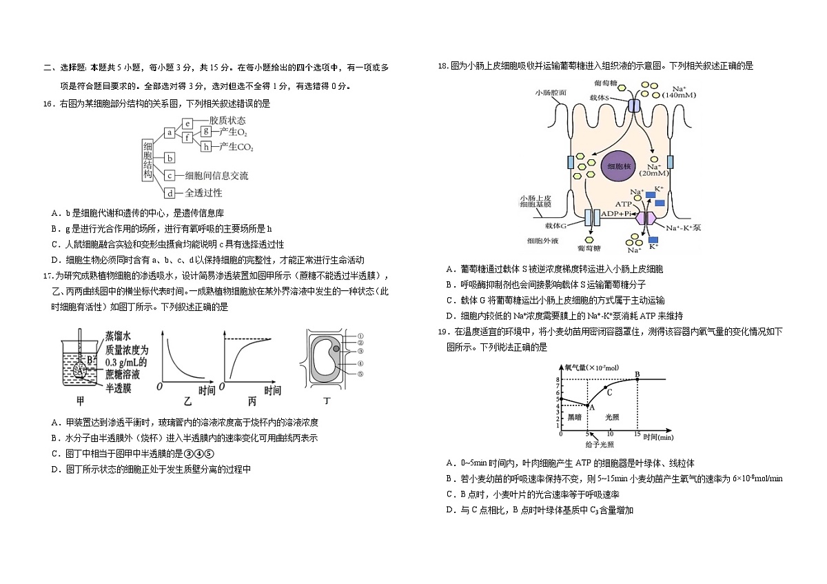吉林省长春外国语学校2025-2026学年高一上学期期末考试生物试题（Word版附解析）第3页