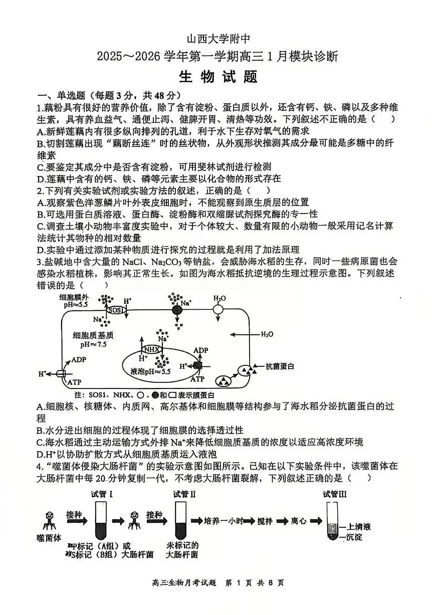 生物试题 山西大学附中25-26学年高三1月考第1页