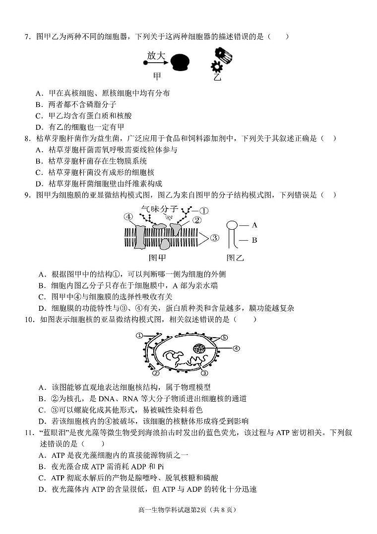浙江省温州市环大罗山联盟2024-2025学年高一下学期期中考试 生物 PDF版含答案第2页