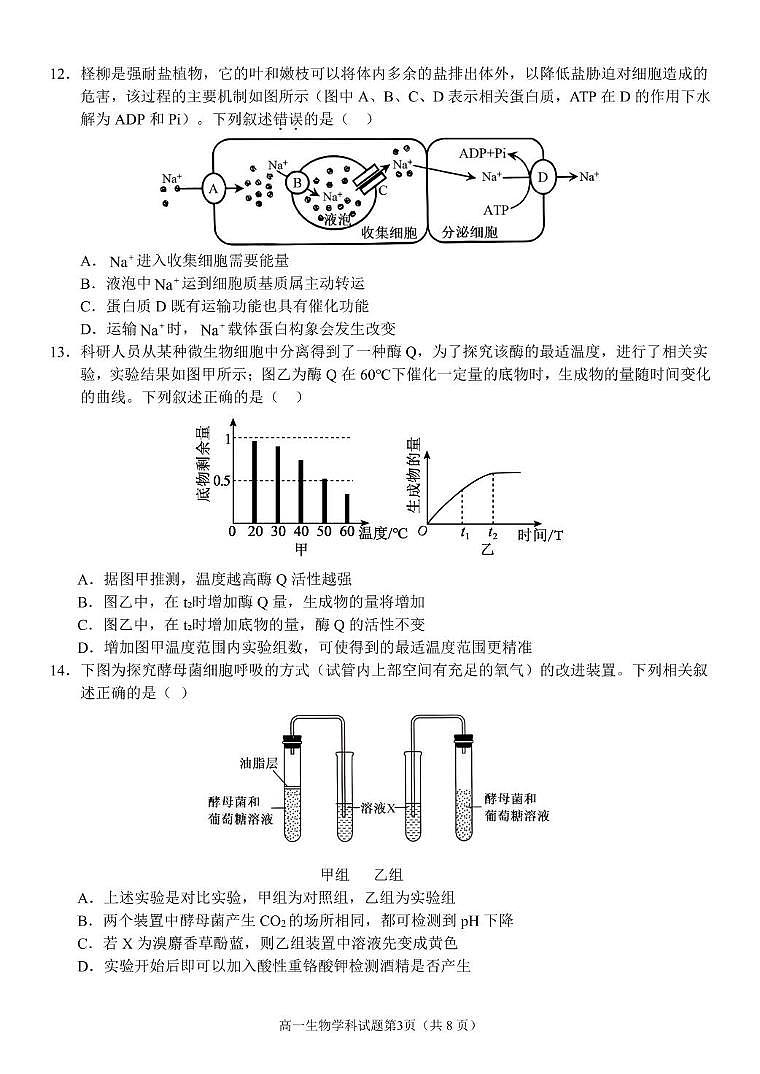 浙江省温州市环大罗山联盟2024-2025学年高一下学期期中考试 生物 PDF版含答案第3页