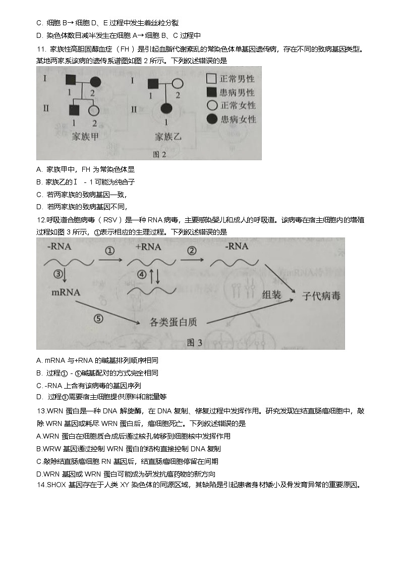 广东省韶关市2024-2025学年高一下学期期末教学质量检测生物试卷（含答案）第3页