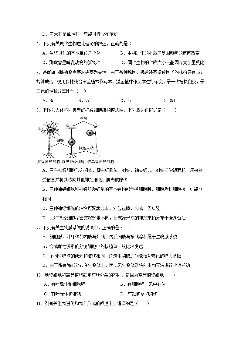 宁夏回族自治区石嘴山市第一中学2024-2025学年高一下学期6月月考生物试卷（无答案）第2页