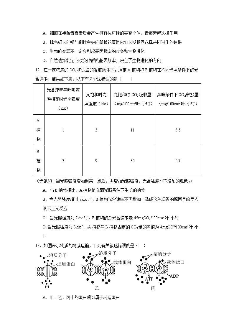 宁夏回族自治区石嘴山市第一中学2024-2025学年高一下学期6月月考生物试卷（无答案）第3页