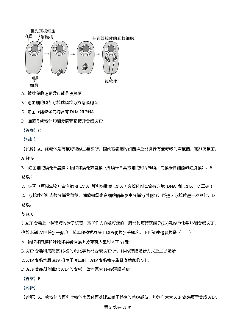 2026届广东省高三上学期12月金太阳联考生物试题 Word版含解析第2页