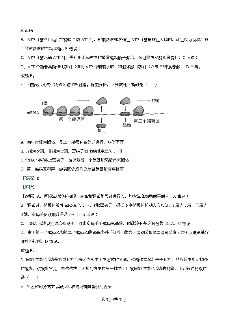 2026届广东省高三上学期12月金太阳联考生物试题 Word版含解析第3页