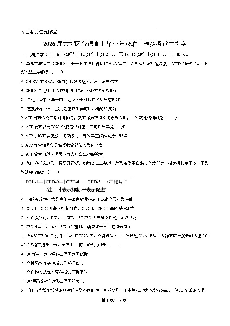 2026届广东省大湾区高三联合考试生物学试题（原卷版）第1页