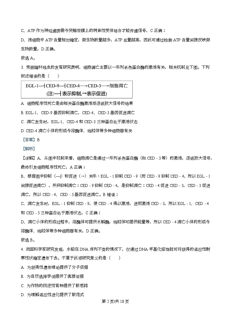 2026届广东省大湾区高三联合考试生物学试题 Word版含解析第2页