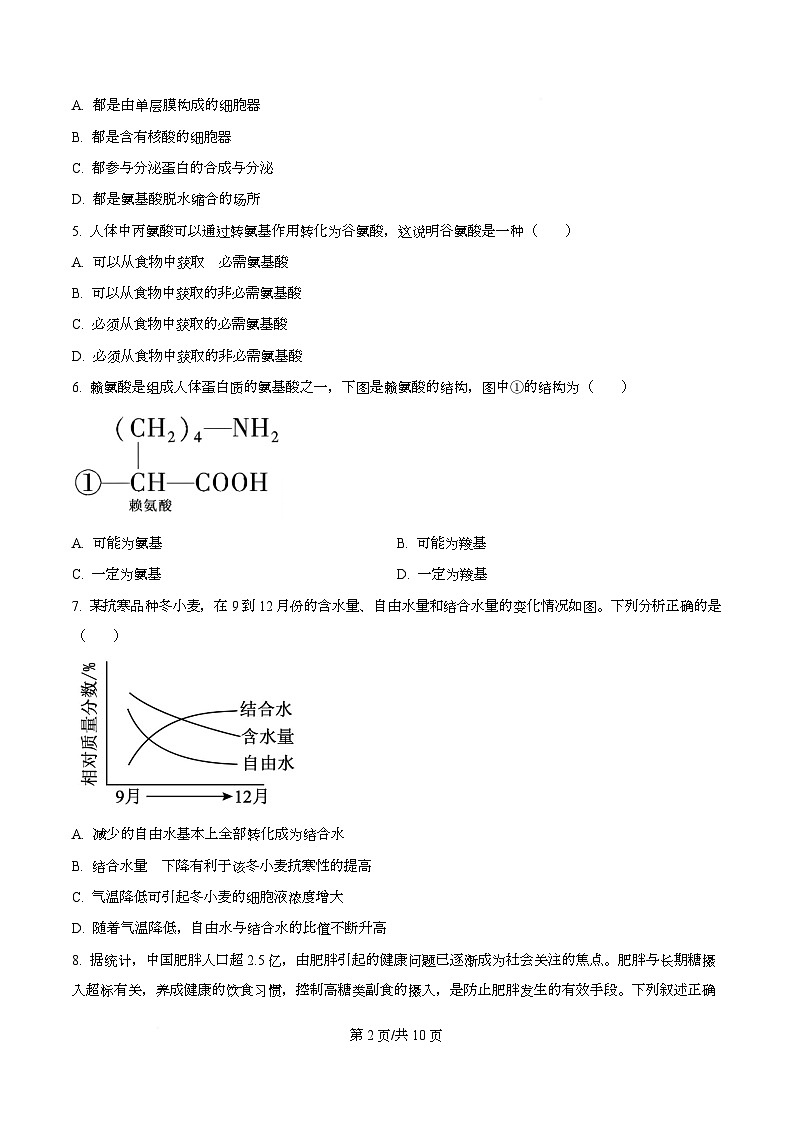 广东省领航高中联盟2025-2026学年高一上学期12月期中生物试题（原卷版）第2页