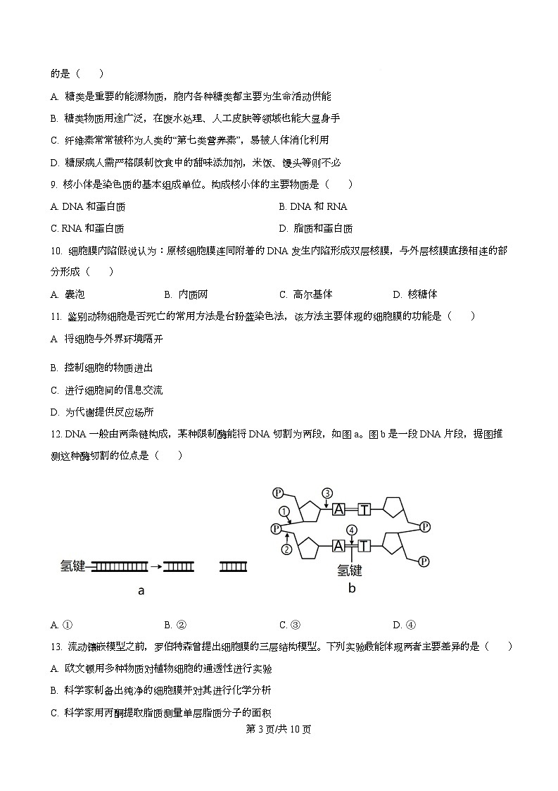 广东省领航高中联盟2025-2026学年高一上学期12月期中生物试题（原卷版）第3页