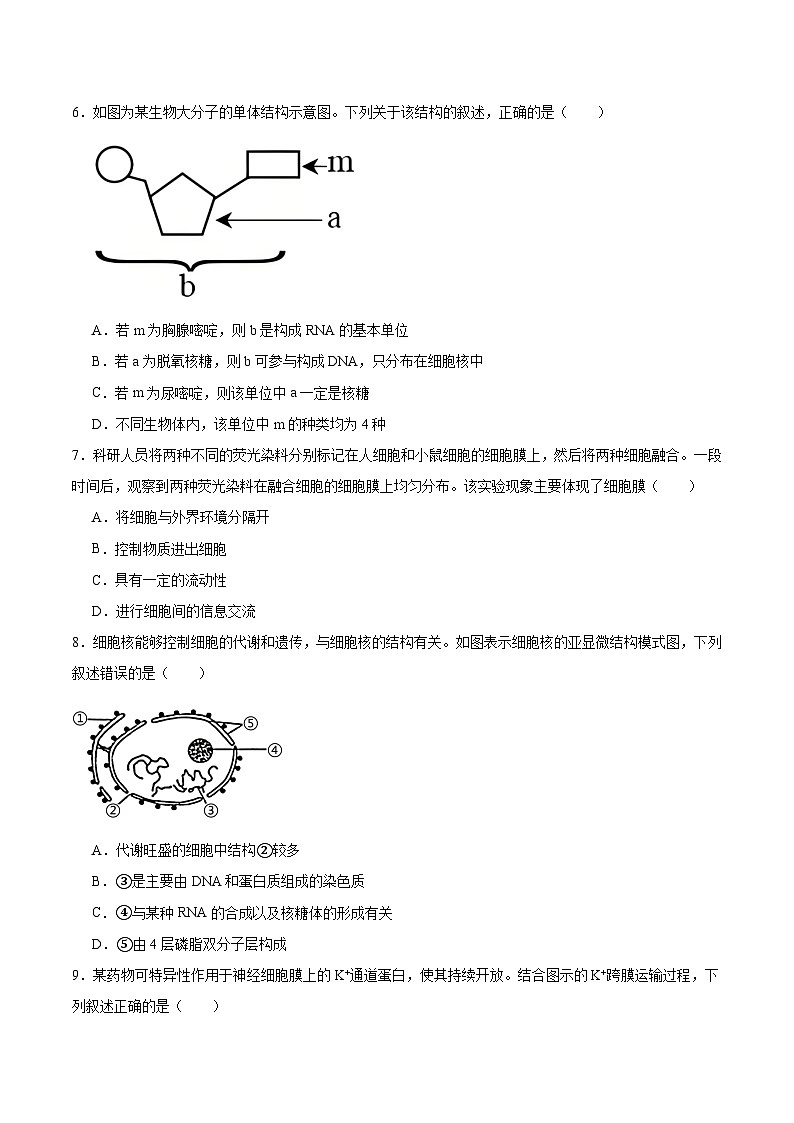 广东省茂名市2025-2026学年高一上学期12月份联考生物试卷（Word版附答案）第2页