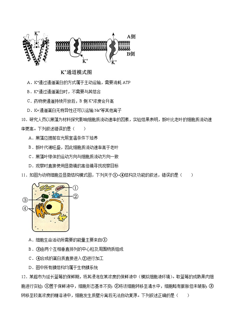 广东省茂名市2025-2026学年高一上学期12月份联考生物试卷（Word版附答案）第3页
