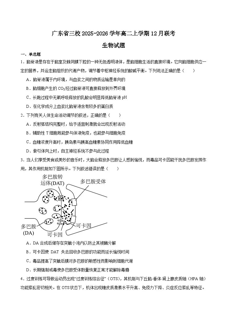 广东省三校2025-2026学年高二上学期12月联考生物试卷（Word版附答案）第1页