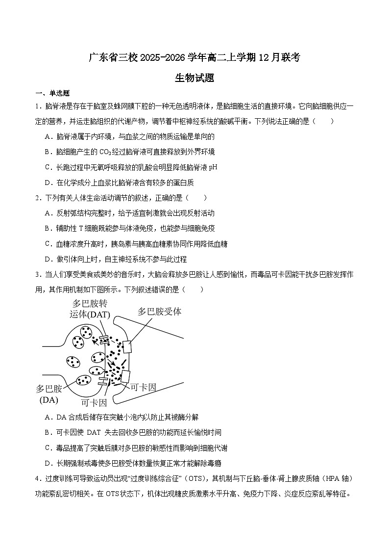 广东省三校2025-2026学年高二上学期12月联考生物试卷（Word版附答案）第1页