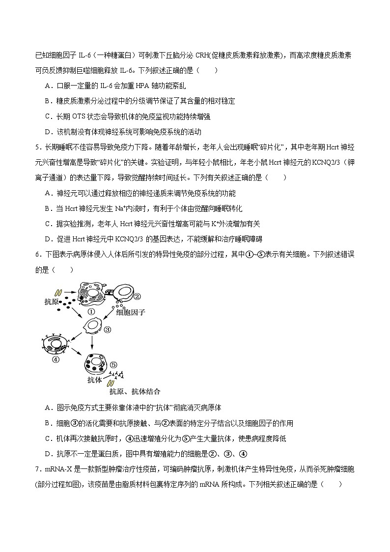 广东省三校2025-2026学年高二上学期12月联考生物试卷（Word版附答案）第2页