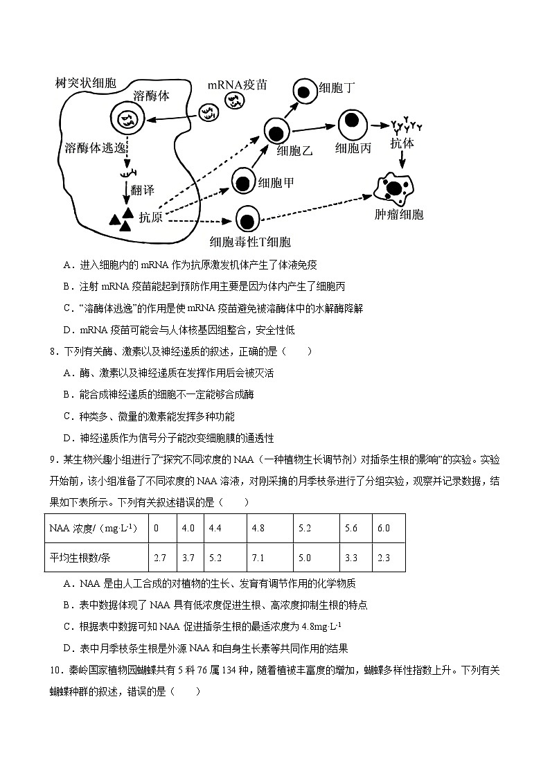 广东省三校2025-2026学年高二上学期12月联考生物试卷（Word版附答案）第3页
