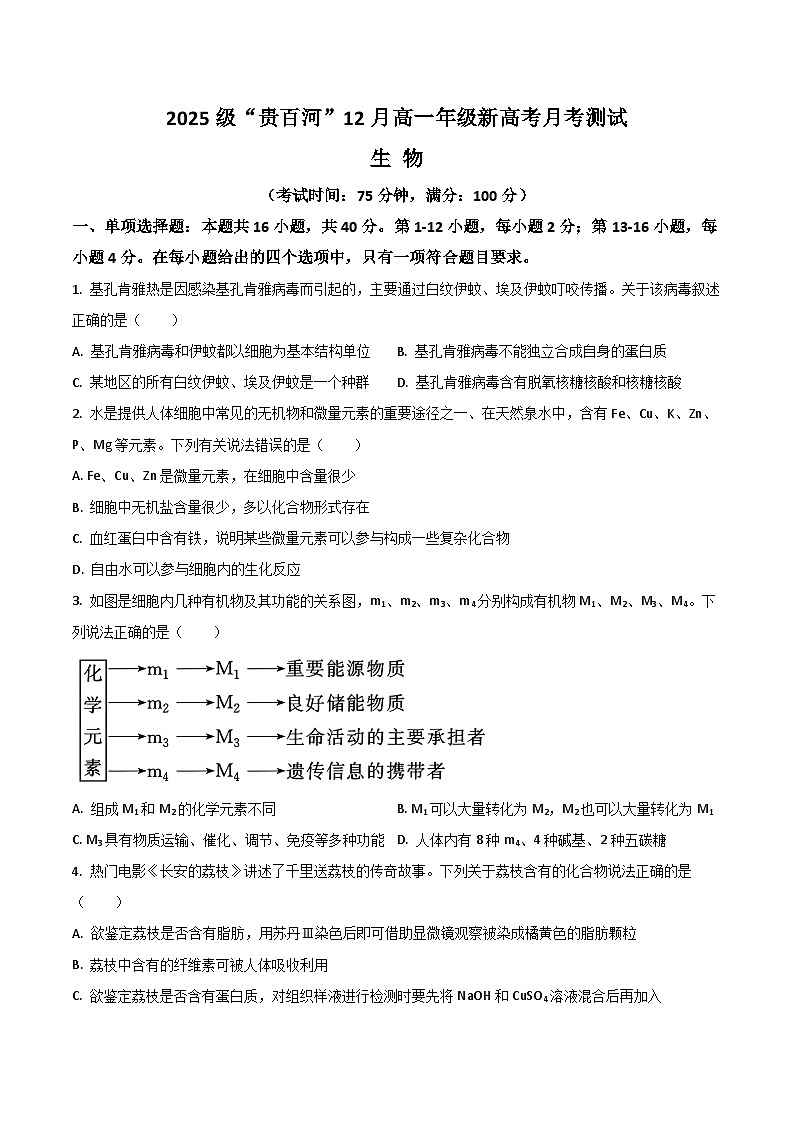 广西贵百河2025-2026学年高一上学期12月新高考月考测试生物试卷（Word版附答案）第1页