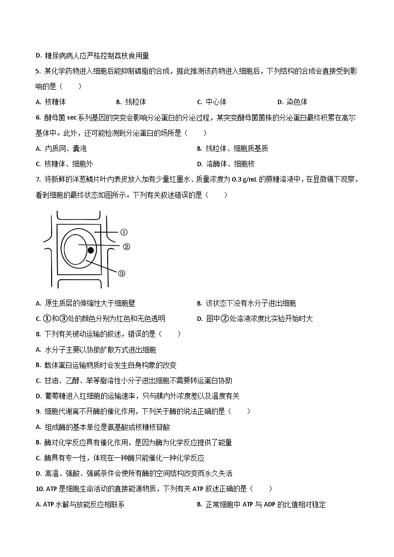 广西贵百河2025-2026学年高一上学期12月新高考月考测试生物试卷（Word版附答案）第2页