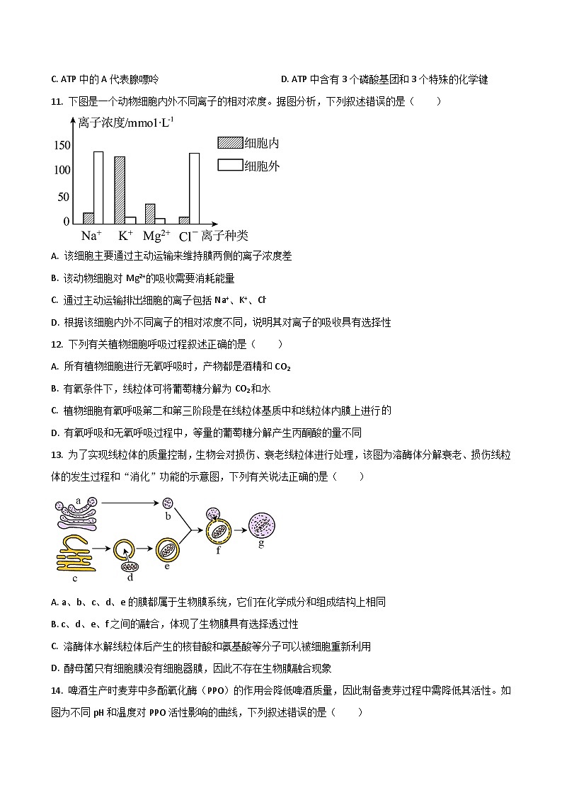 广西贵百河2025-2026学年高一上学期12月新高考月考测试生物试卷（Word版附答案）第3页