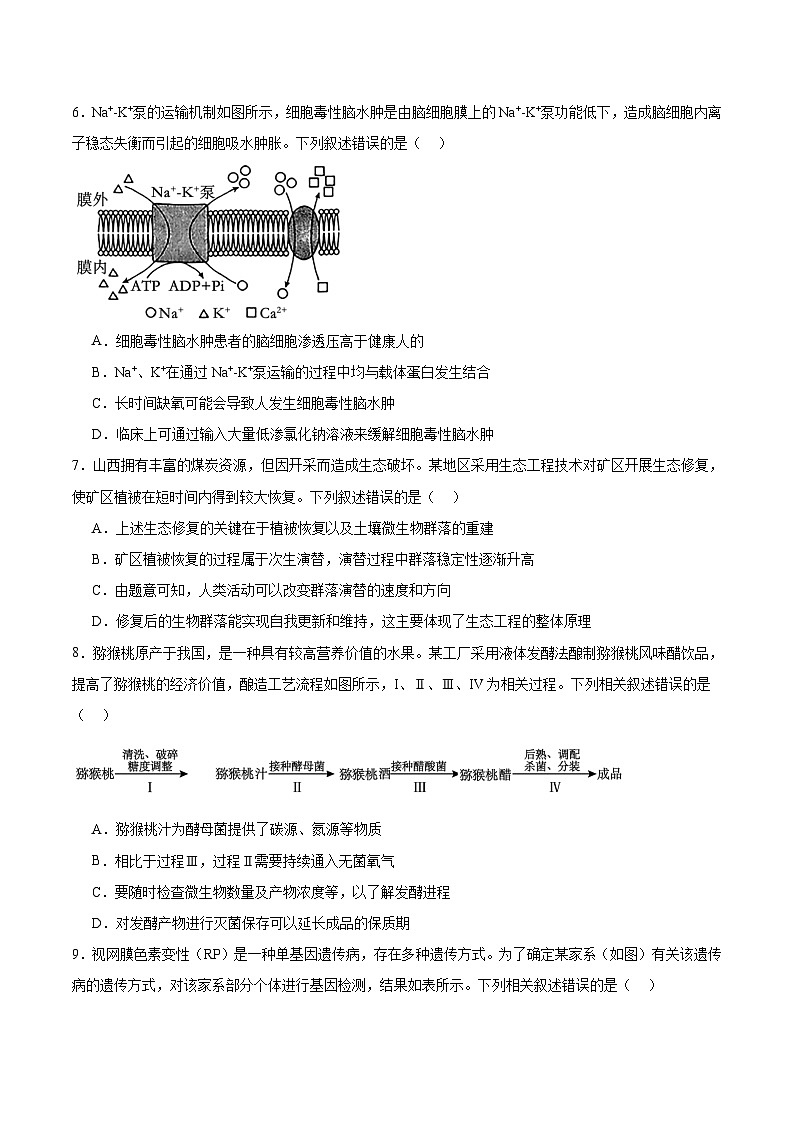 贵州省部分学校2026届高三上学期12月联考生物试卷（Word版附答案）第2页