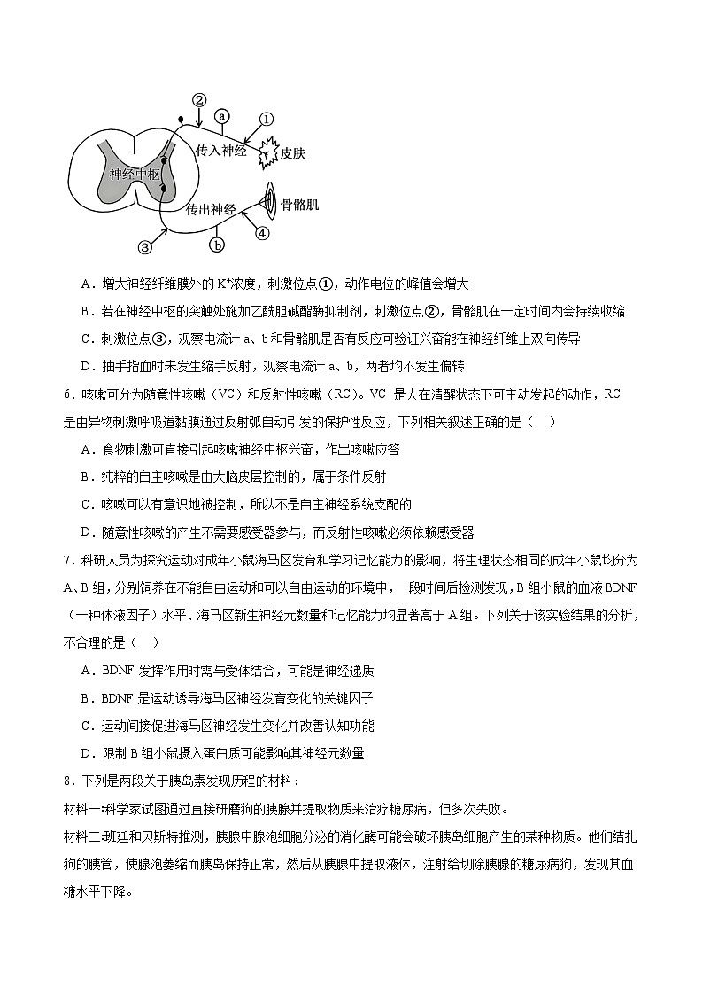 辽宁省辽西重点高中2025-2026学年高二上学期12月月考生物试卷（Word版附答案）第2页