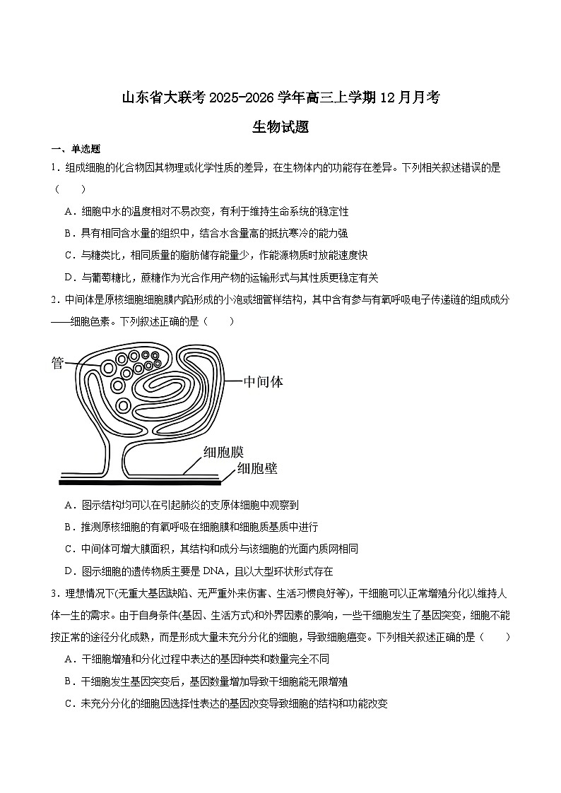 山东省大联考2026届高三上学期12月月考生物试卷（Word版附答案）第1页