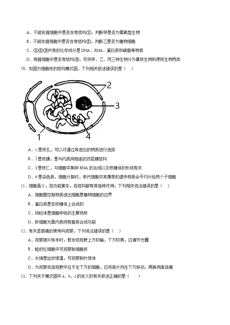 山东省济南市顶级名校2025-2026学年高一上学期12月检测试题 生物（含答案）第3页