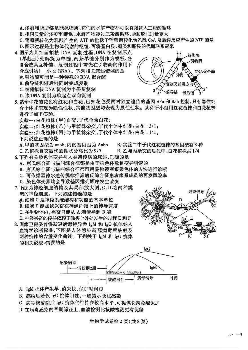 生物第2页