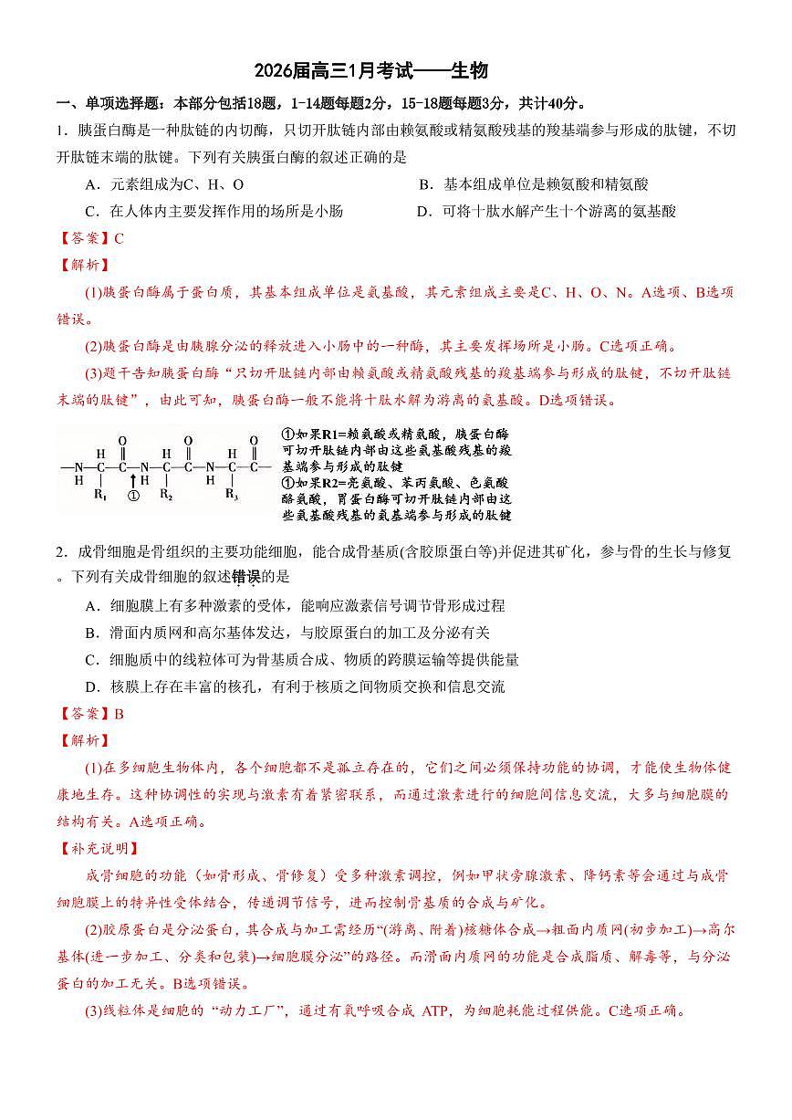 安徽省合肥一中2025-2026学年高三上学期1月考试 生物答案第1页