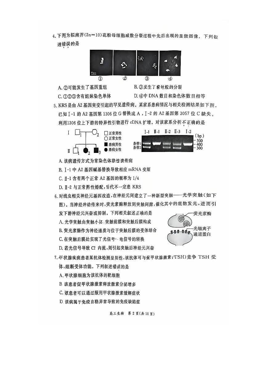 北京市东城区2025～2026学年高三上期末生物试卷(无答案)第2页