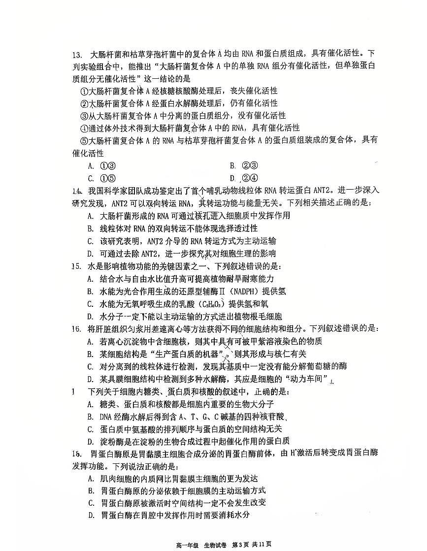 辽宁省实验中学等五校2025-2026学年第一学期高一联考生物学期末试卷（含答案）第3页