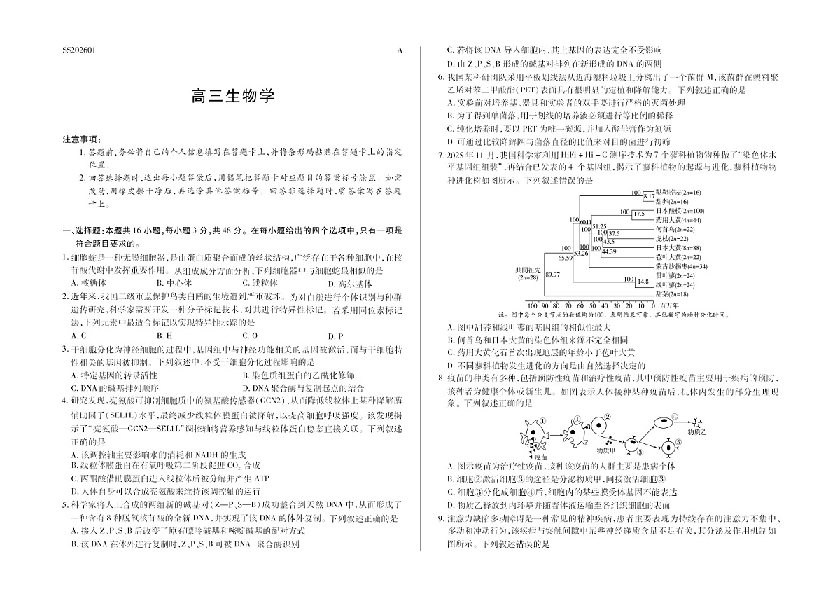 陕晋青宁四省2025-2026学年高三上学期（1月)第二次联考生物试卷第1页