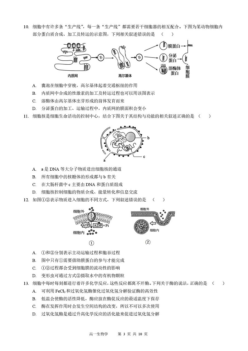黑龙江省哈尔滨市2025-2026学年高一上学期期末学业质量监测生物试卷第3页