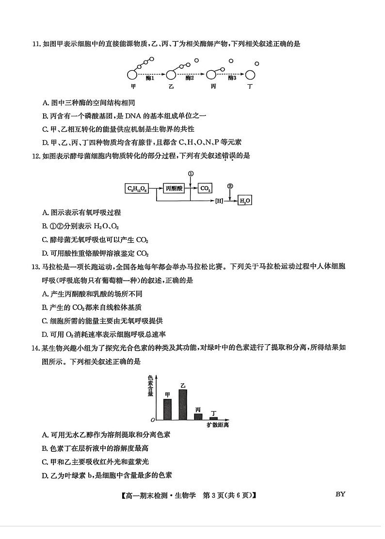 甘肃省靖远县第一中学2025-2026学年高一上学期期末考试生物试题第3页
