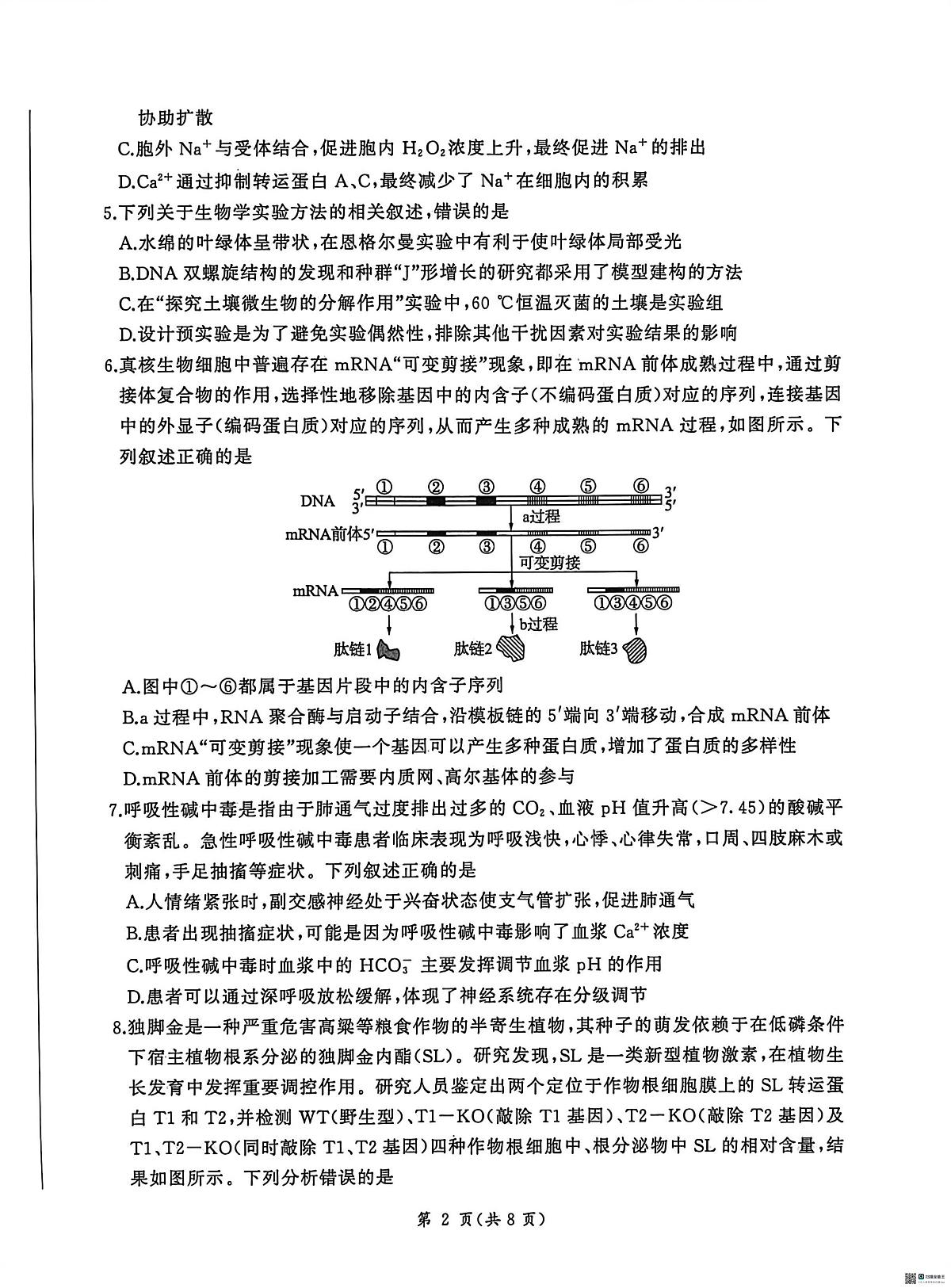 2026届河北高三上学期1月检测联考生物试题+答案第2页