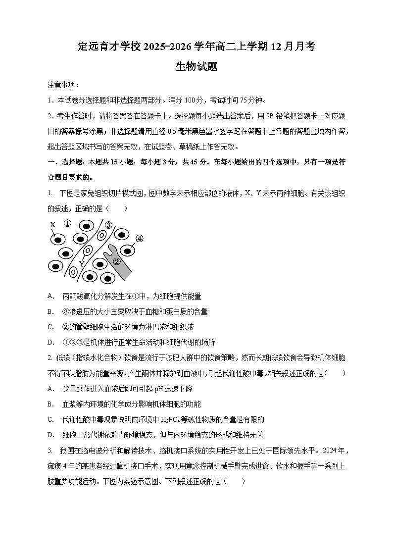 安徽省定远县育才学校2025-2026学年高二上学期12月月考生物试题（含答案）第1页