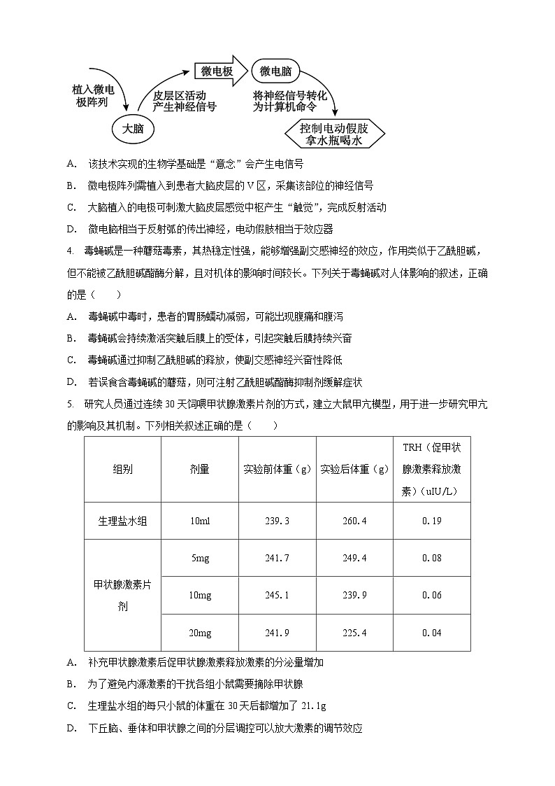 安徽省定远县育才学校2025-2026学年高二上学期12月月考生物试题（含答案）第2页