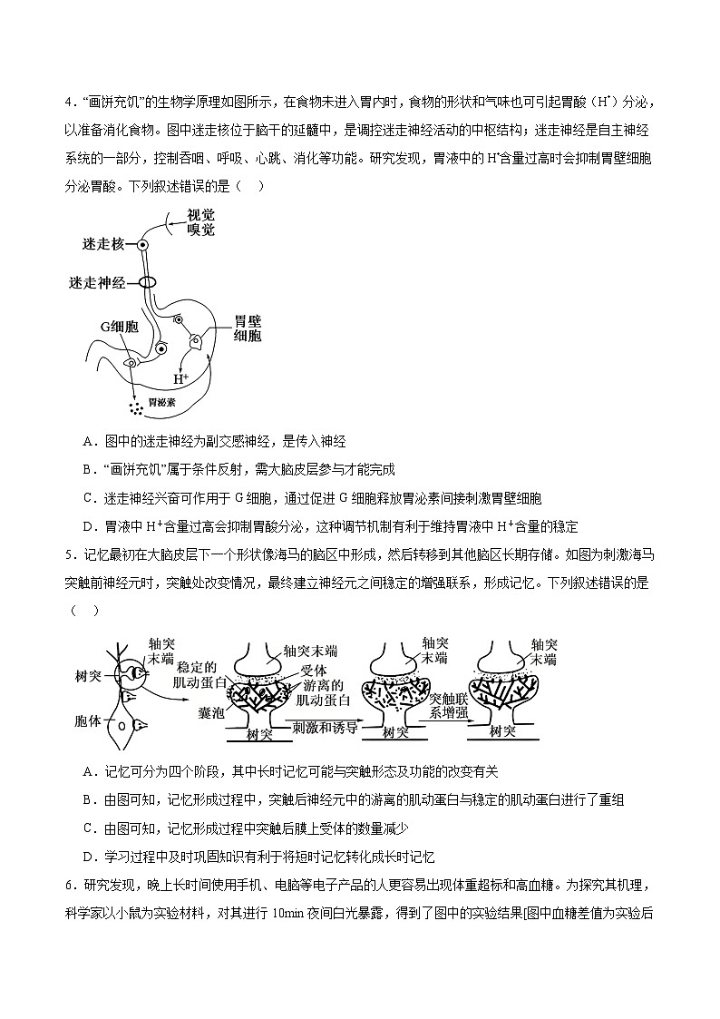 安徽省县中联盟2025-2026学年高二上学期12月质量检测生物试卷（含答案）第2页