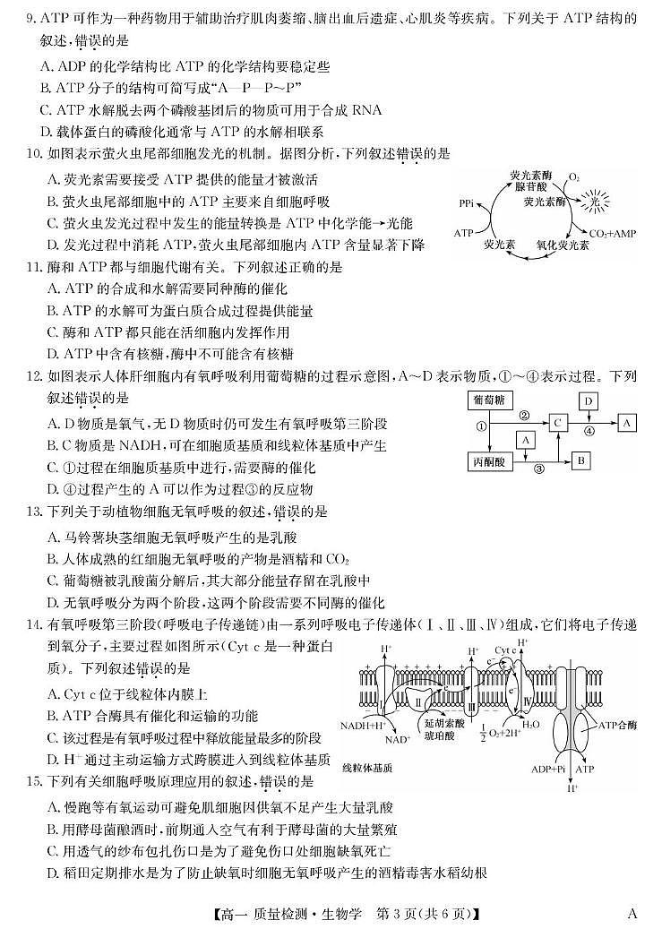生物-高一质量检测 （A）第3页