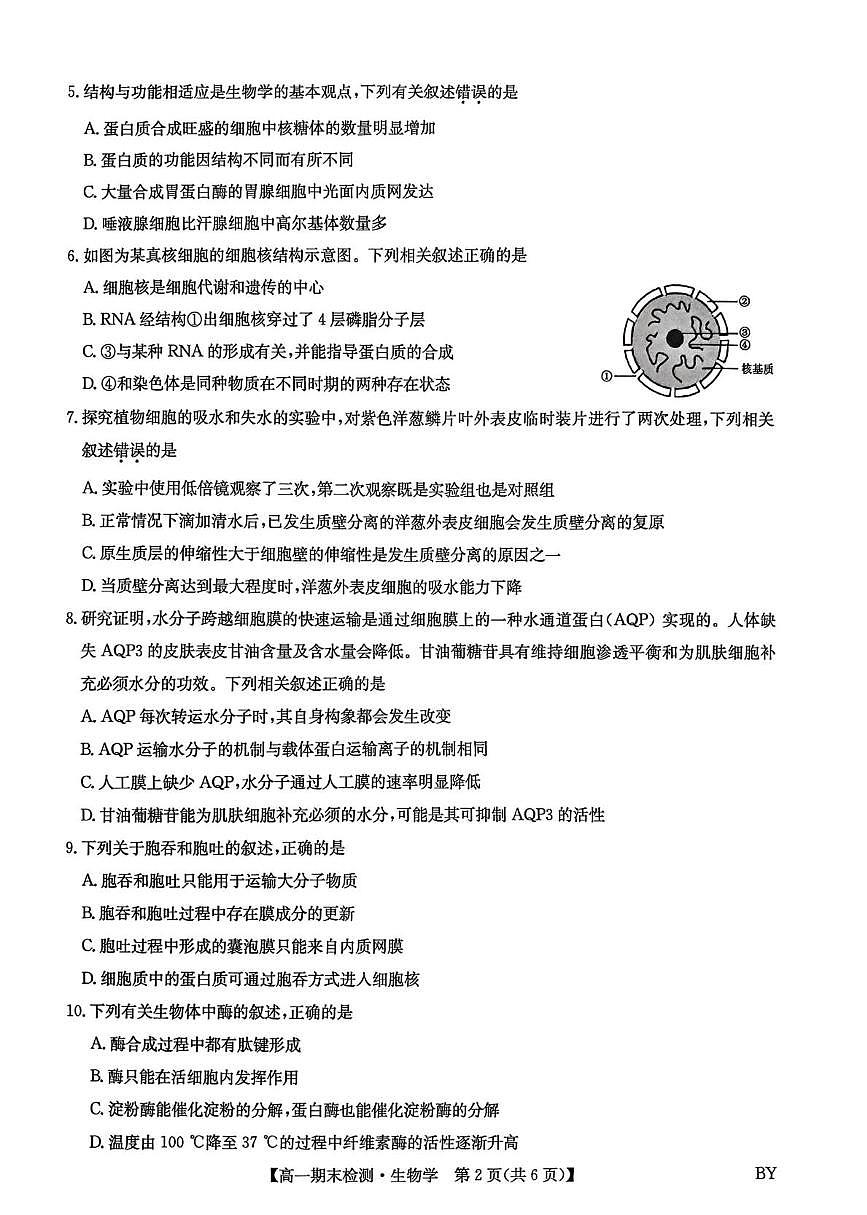 甘肃省靖远县第一中学2025-2026学年第一学期期末高一生物学试题第2页