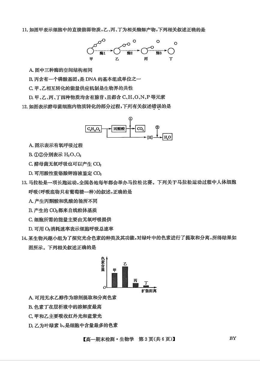 甘肃省靖远县第一中学2025-2026学年第一学期期末高一生物学试题第3页
