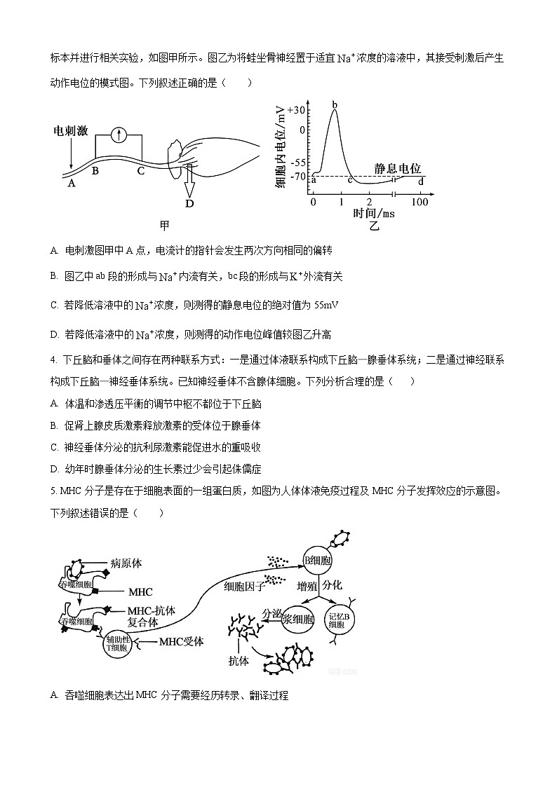 精品解析：甘肃省武威市天祝藏族自治县第一中学2025-2026学年高二上学期1月期末生物试题（原卷版）第2页