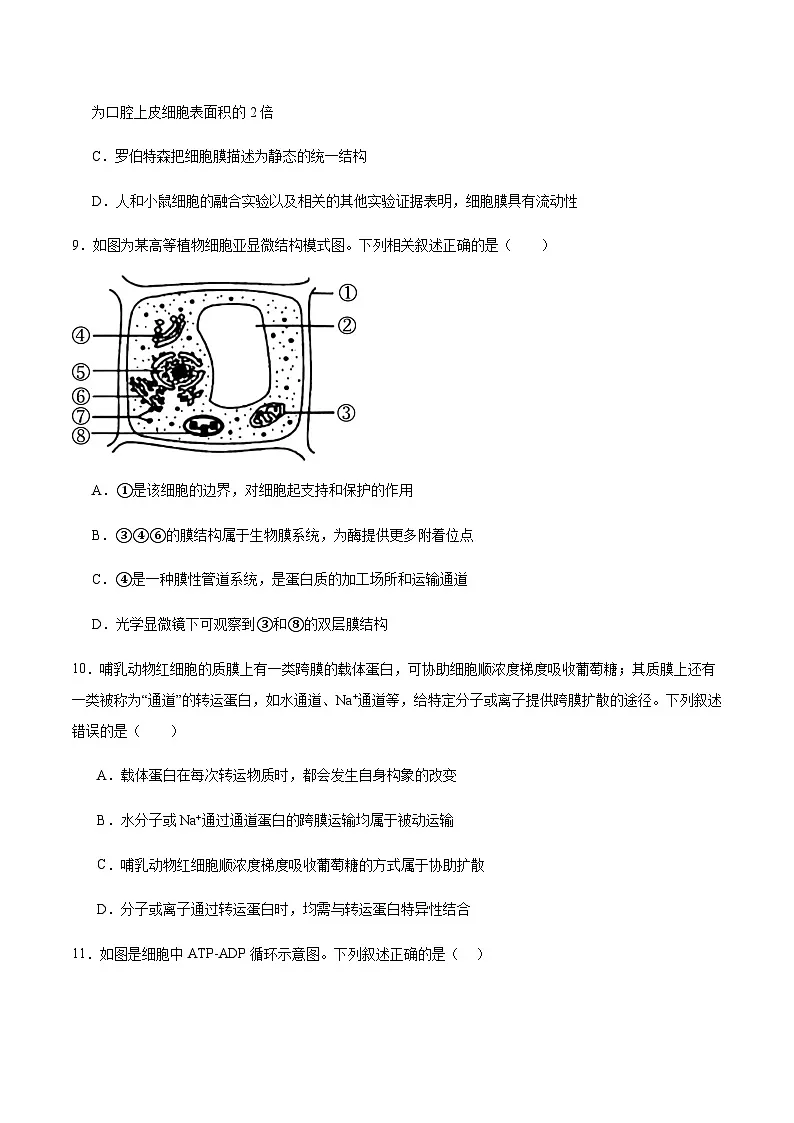 广东省湛江市雷州市第二中学2025-2026学年高一上学期12月第三次月考生物试卷（含答案）第3页