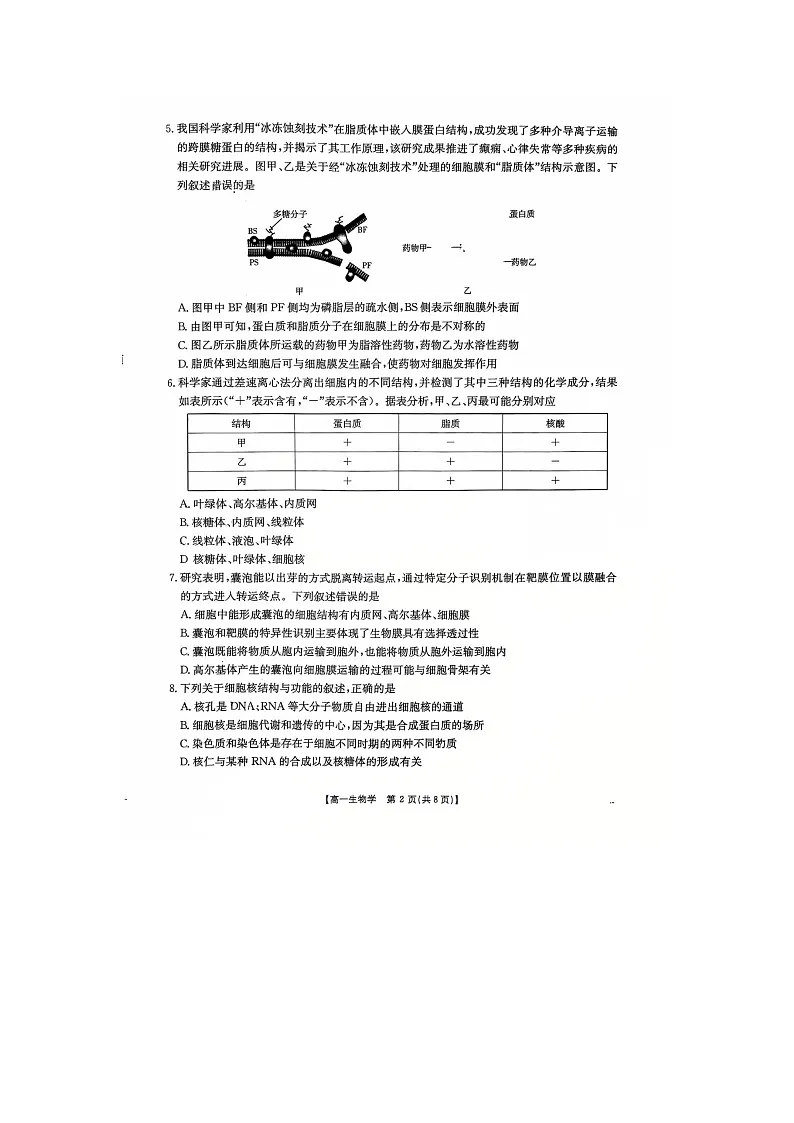 河北省邢台市卓越联盟2025-2026学年高一上学期第三次月考生物试题第2页
