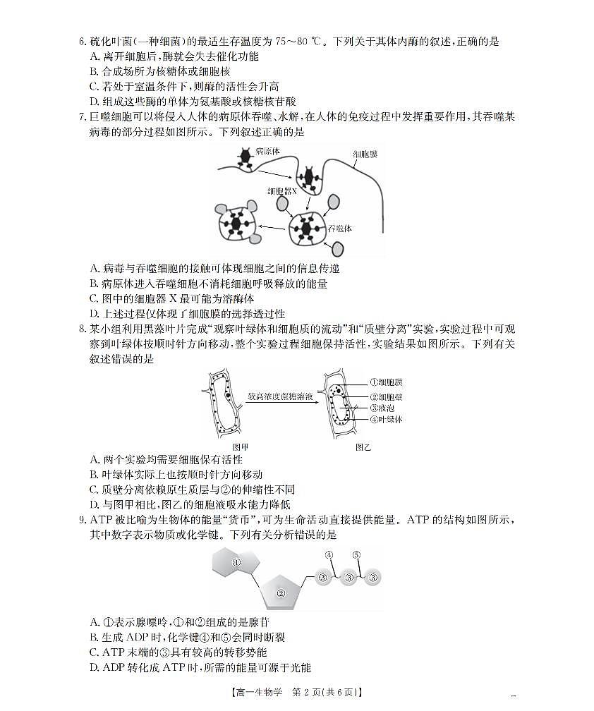 河南省南阳地区2025-2026学年高一上学期12月阶段考试卷（26-176A）生物第2页